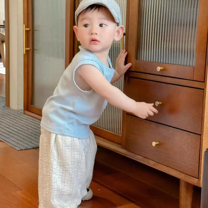 Boys' Summer Lightweight Set: Sleeveless T-Shirt and Mosquito-Resistant Pants, New Arrival with Vest and Casual Pants.