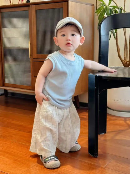 Boys' Summer Lightweight Set: Sleeveless T-Shirt and Mosquito-Resistant Pants, New Arrival with Vest and Casual Pants.